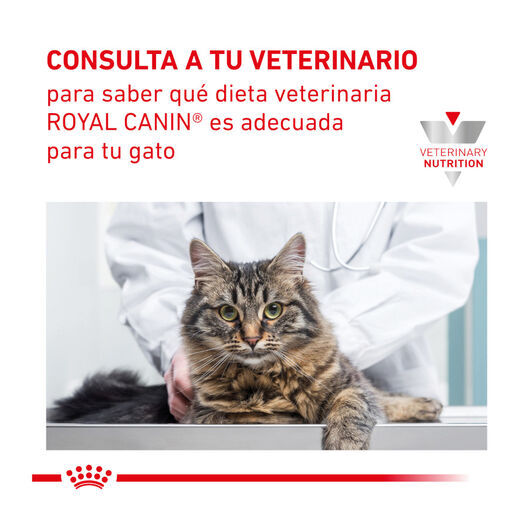 12 saquetas x 85 g Royal Canin Veterinary Gastrointestinal Moderate Calorie saqueta para gatos , , large Imagem n&uacute;mero 7