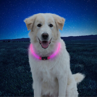 Nite Ize NiteHowl Coleira de Segurança LED Rosa para cães