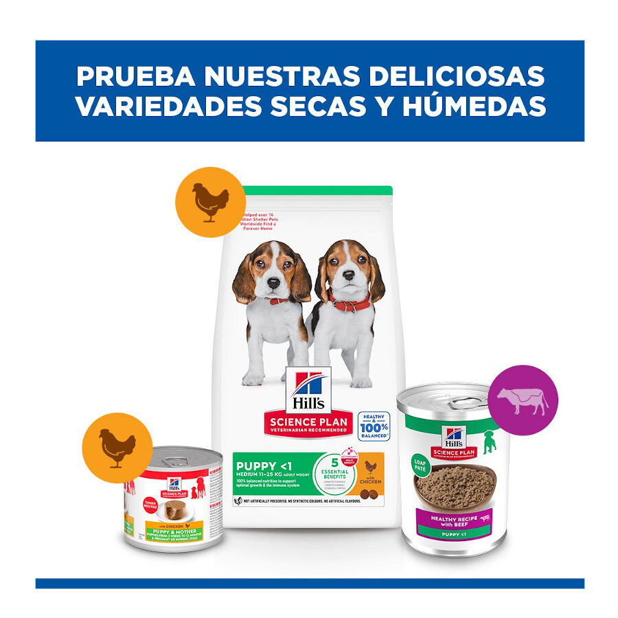 370 g Hill's Science Plan Puppy Beef P&acirc;t&eacute; enlatado para c&atilde;es, , large Imagem n&uacute;mero 9