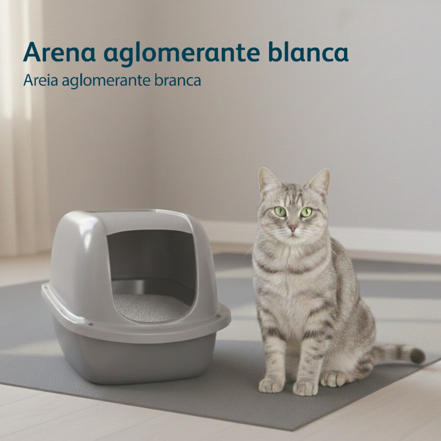 10 L Nova Clean Ultra Areia Aglomerante Lavanda para gatos, , large Imagem n&uacute;mero 5