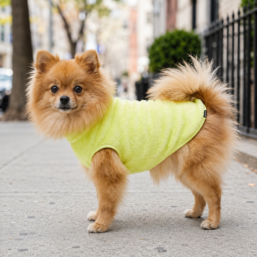 Gotoo Camisola Polar Verde-Lima para c&atilde;es, , large Imagem n&uacute;mero 1