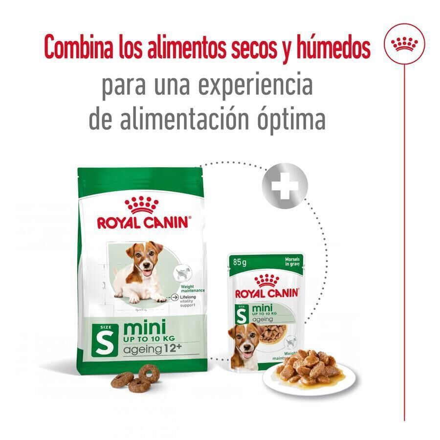 3.5 kg Royal Canin Mini 12+ Ageing ra&ccedil;&atilde;o para c&atilde;es, , large Imagem n&uacute;mero 2