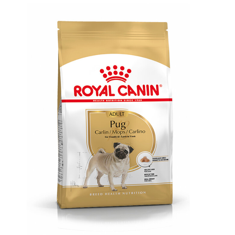 3 kg Royal Canin Adult Pug ração para cães,  Imagem número 1 3 kg Royal Canin Adult Pug ração para cães, , large Imagem número 1