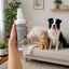 Nice Care Ambientador Eliminador de Odores para c&atilde;es e gatos, , large Indicador imagem n&uacute;mero 1