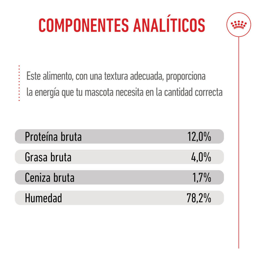 85 g Royal Canin Kitten Alimento H&uacute;mido para gatinhos, , large Imagem n&uacute;mero 8