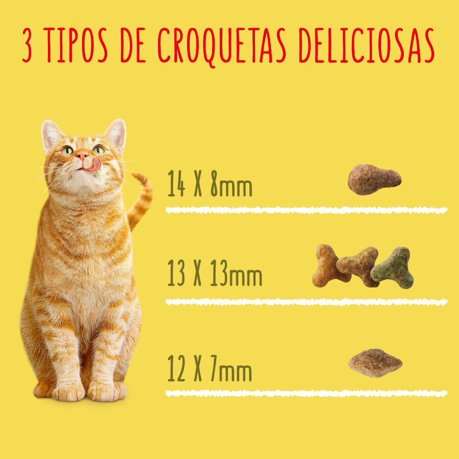 20 kg Friskies Coelho e Frango ra&ccedil;&atilde;o para gatos, , large Imagem n&uacute;mero 8