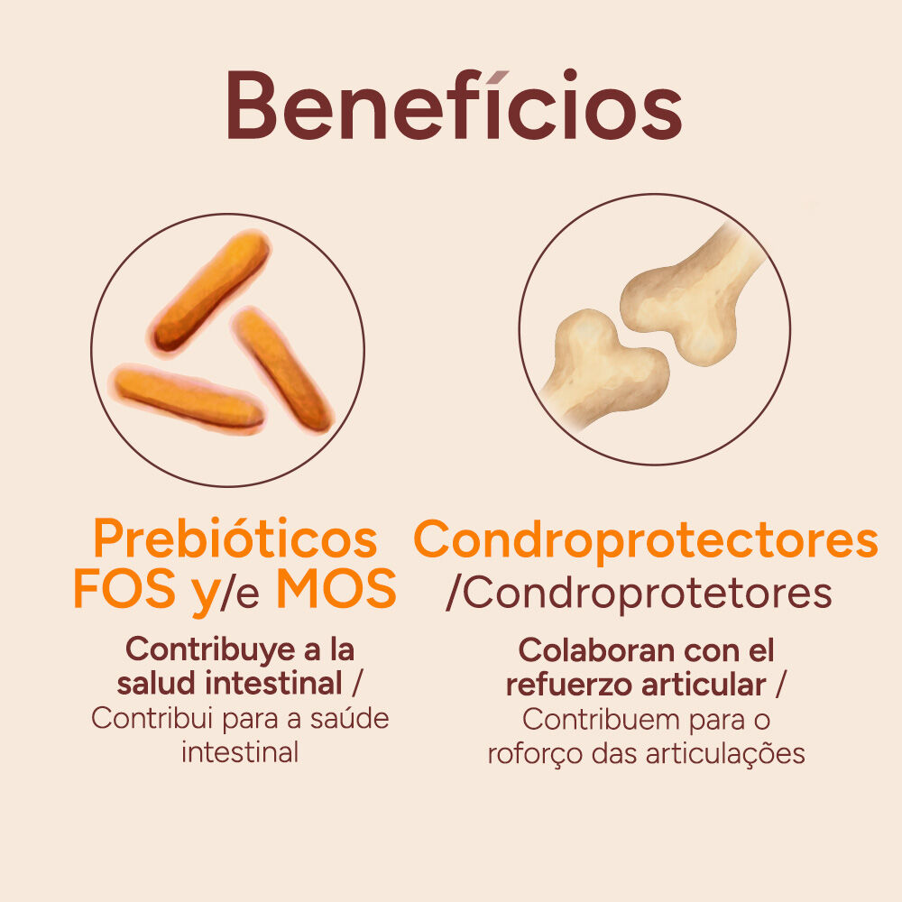 12 kg Criadores Grain Free Peru ra&ccedil;&atilde;o c&atilde;es ra&ccedil;as m&eacute;dias e grandes, , large Imagem n&uacute;mero 4