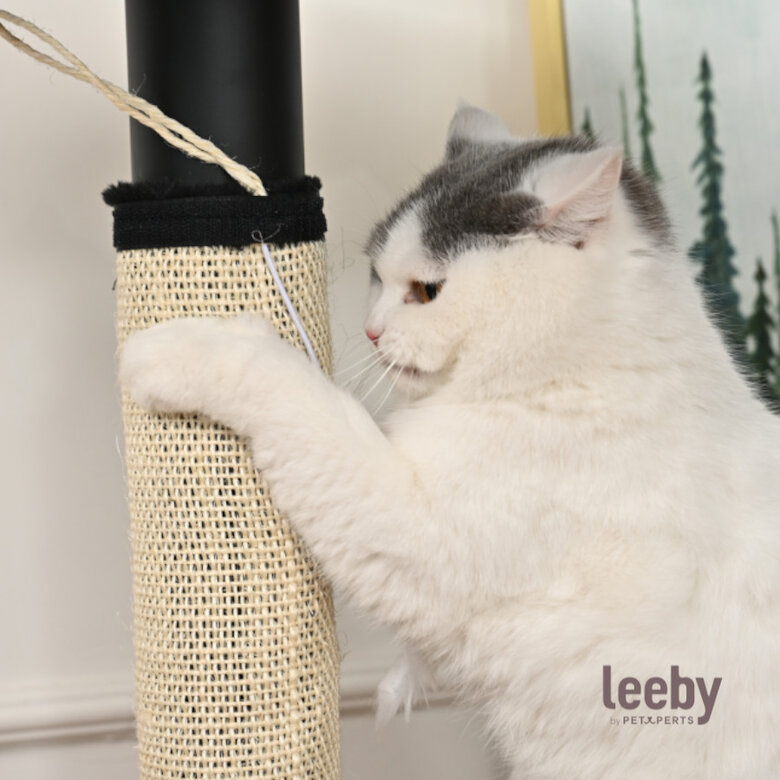 Leeby Tito arranhador para pé de mesa com brinquedo para gatos,  Imagem número 2 Leeby Tito arranhador para pé de mesa com brinquedo para gatos, , large Imagem número 2