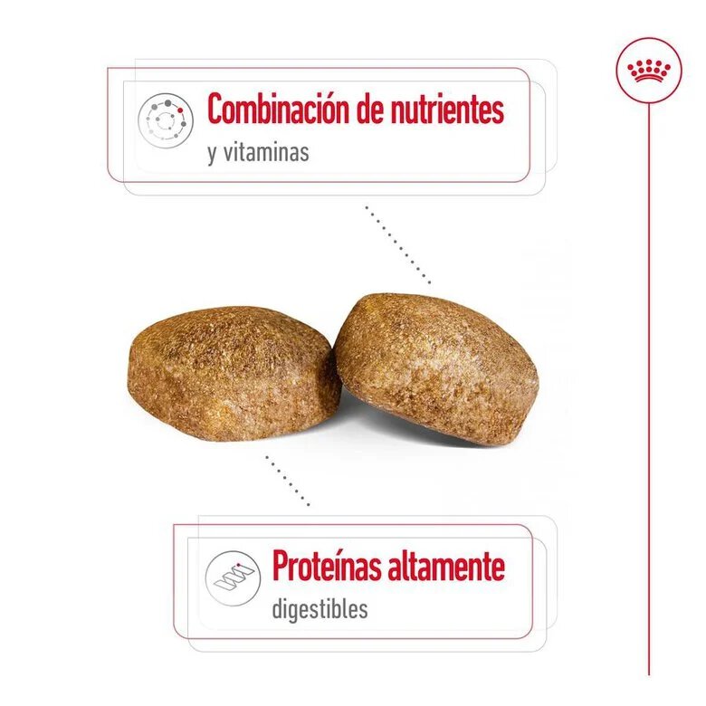 Royal Canin Adult Giant ração para cães, , large image number null