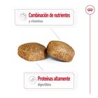 Royal Canin Adult Giant ração para cães, , large image number null