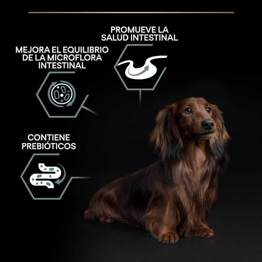 3 kg Pro Plan Adult Mini OptiDigest Cordeiro ra&ccedil;&atilde;o para c&atilde;es , , large Imagem n&uacute;mero 3