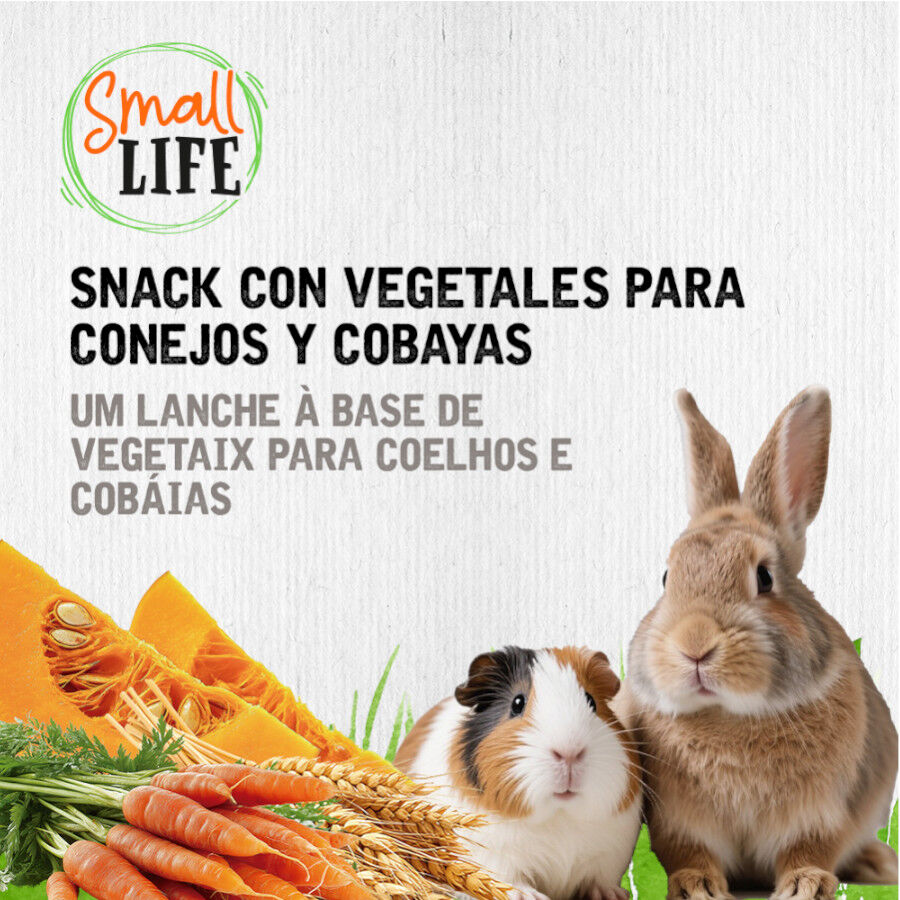 2 barritas Small Life Barritas Snack com Vegetais para coelhos e Porquinhos da &Iacute;ndia, , large Imagem n&uacute;mero 4