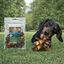 2 uds. True Origins Hueso Mini de At&uacute;n Snack para perros, , large Indicador imagem n&uacute;mero 1