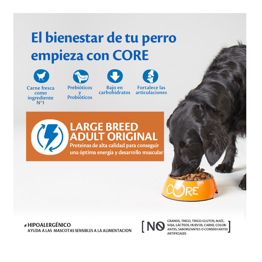 10 kg Wellness Core Adult Large Original Ra&ccedil;&atilde;o de frango para c&atilde;es, , large Imagem n&uacute;mero 2