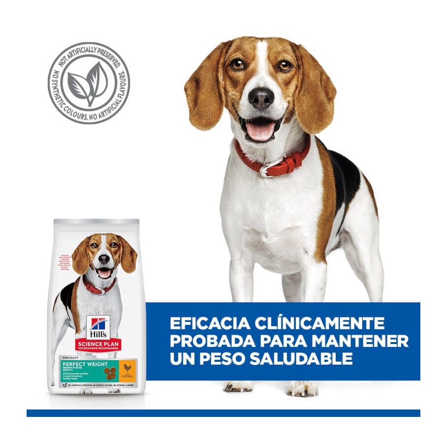 12 kg Hill's Science Plan Perfect Weight Adult Medium Frango ra&ccedil;&atilde;o para c&atilde;es, , large Imagem n&uacute;mero 8