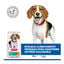 12 kg Hill's Science Plan Perfect Weight Adult Medium Frango ra&ccedil;&atilde;o para c&atilde;es, , large Indicador imagem n&uacute;mero 8