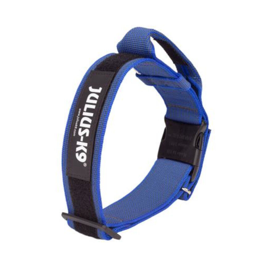 Julius K9 collar doble cierre azul para perros Imagem n&uacute;mero 1
