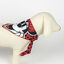 Disney Minnie Mouse Conjunto de presente de boas-vindas para cães, , large Indicador imagem número 5