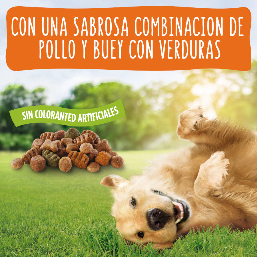 18 kg Friskies Adult Frango e Legumes ra&ccedil;&atilde;o para c&atilde;es, , large Imagem n&uacute;mero 5