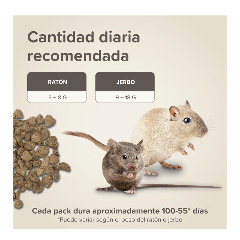 Beaphar Care+ Alimento para ratos e gerbilos,  Imagem número 7 Beaphar Care+ Alimento para ratos e gerbilos, , large Imagem número 7