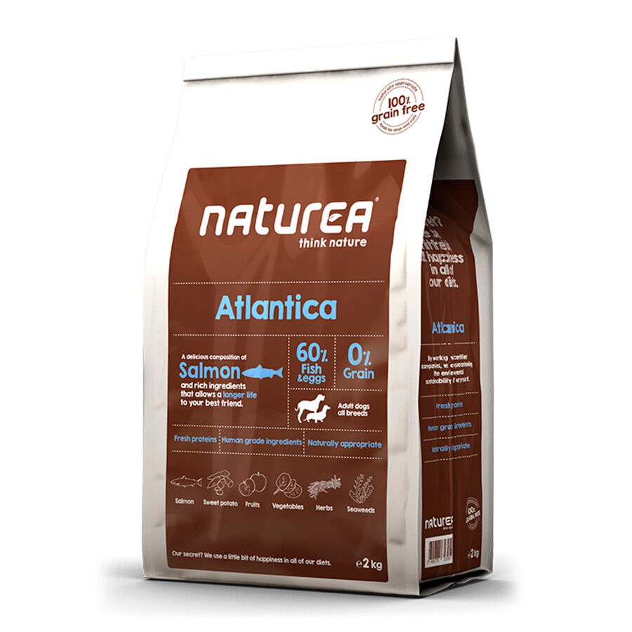 Naturea GF Atlantica Salm&atilde;o ra&ccedil;&atilde;o para c&atilde;es, , large Imagem n&uacute;mero 1