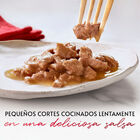 Gourmet Mon Petit Seleção Peixes em molho saqueta para gatos, , large image number null