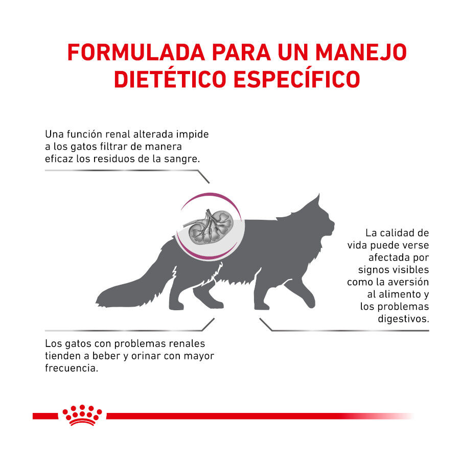 4 kg Royal Canin Veterinary Renal Select ra&ccedil;&atilde;o para gatos , , large Imagem n&uacute;mero 3
