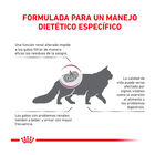 Royal Canin Veterinary Renal Select ração para gatos , , large image number null
