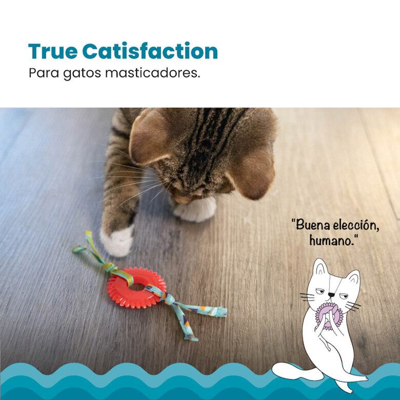 Catstages Kitty Chew Vermelha Brinquedo Roda Mordedora para gatos,  Imagem número 6 Catstages Kitty Chew Vermelha Brinquedo Roda Mordedora para gatos, , large Imagem número 6