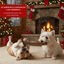 2 Ossos Wonder Christmas Osso prensado de Natal para cães, , large Indicador imagem número 4