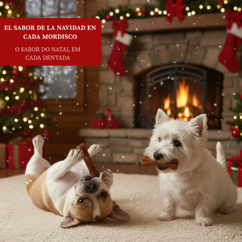 2 Ossos Wonder Christmas Osso prensado de Natal para cães,  Imagem número 4 2 Ossos Wonder Christmas Osso prensado de Natal para cães, , large Imagem número 4