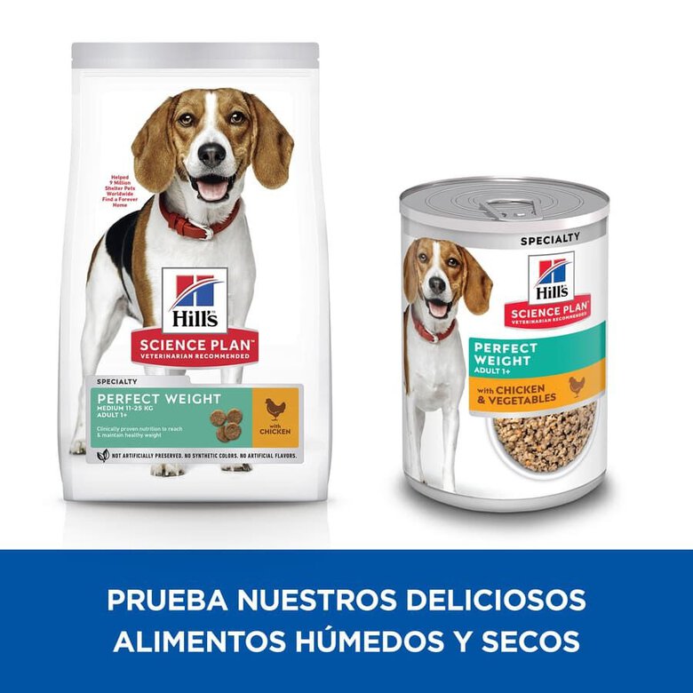 12 kg Hill's Science Plan Perfect Weight Adult Medium Frango ração para cães,  Imagem número 5 12 kg Hill's Science Plan Perfect Weight Adult Medium Frango ração para cães, , large Imagem número 5