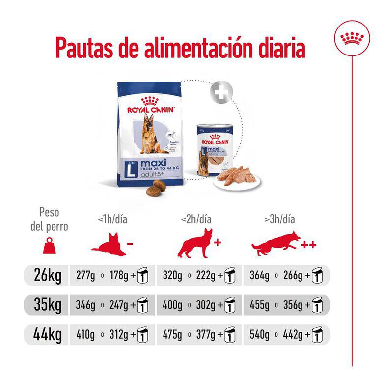 15 kg Royal Canin Maxi Adult 5+ ra&ccedil;&atilde;o para c&atilde;es seniores de ra&ccedil;a grande, , large Imagem n&uacute;mero 13