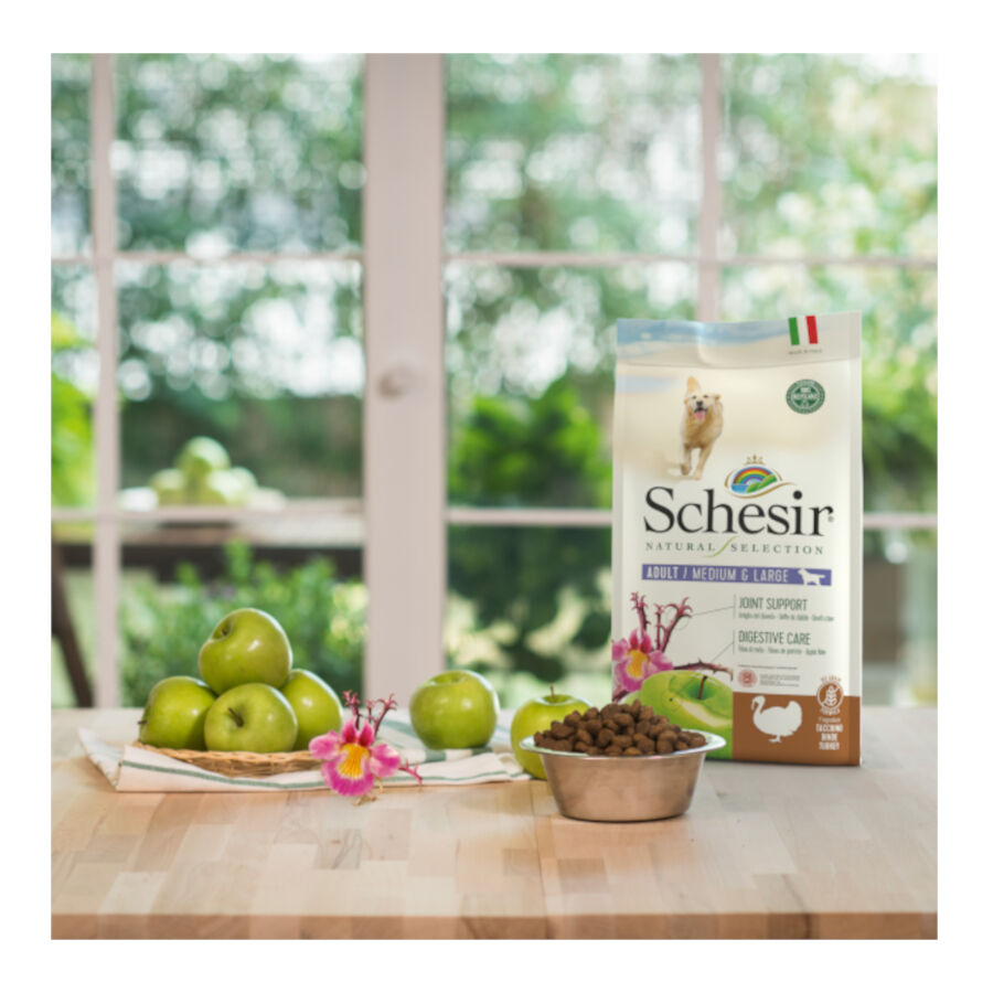 2.24 kg Schesir Adult Medium & Large Natural Selection Ra&ccedil;&atilde;o de peru para c&atilde;es, , large Imagem n&uacute;mero 6