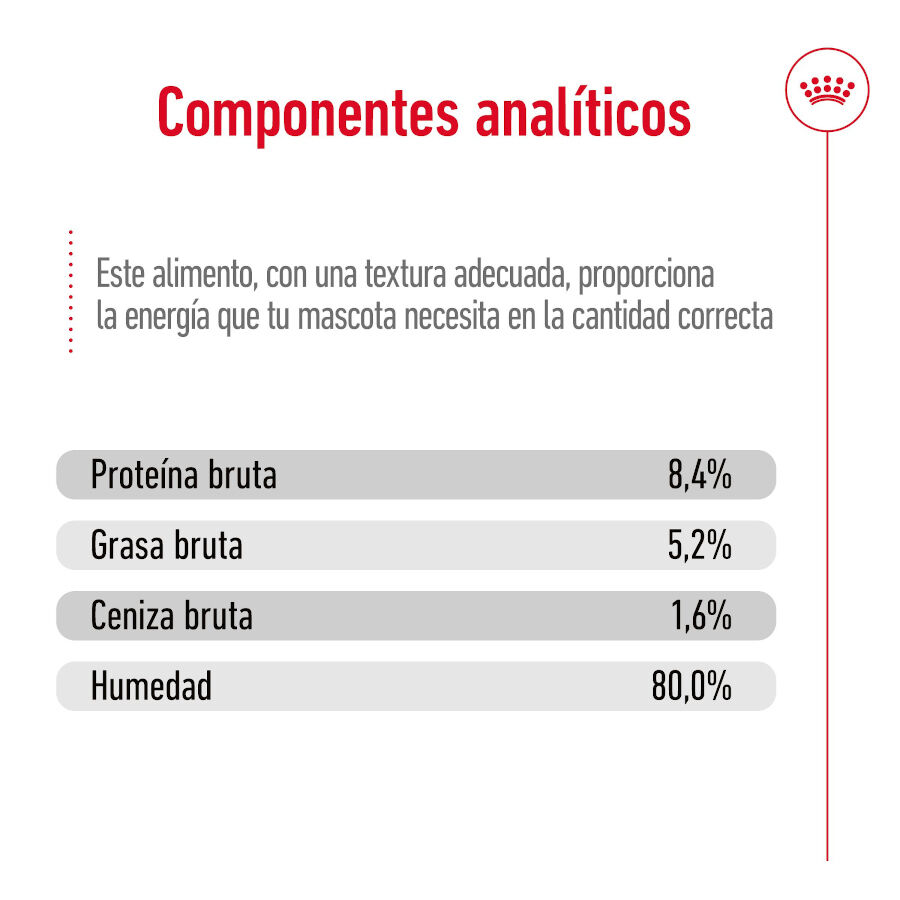 410 g Royal Canin Maxi Ageing 5+ Pat&ecirc; em lata para c&atilde;es, , large Imagem n&uacute;mero 3