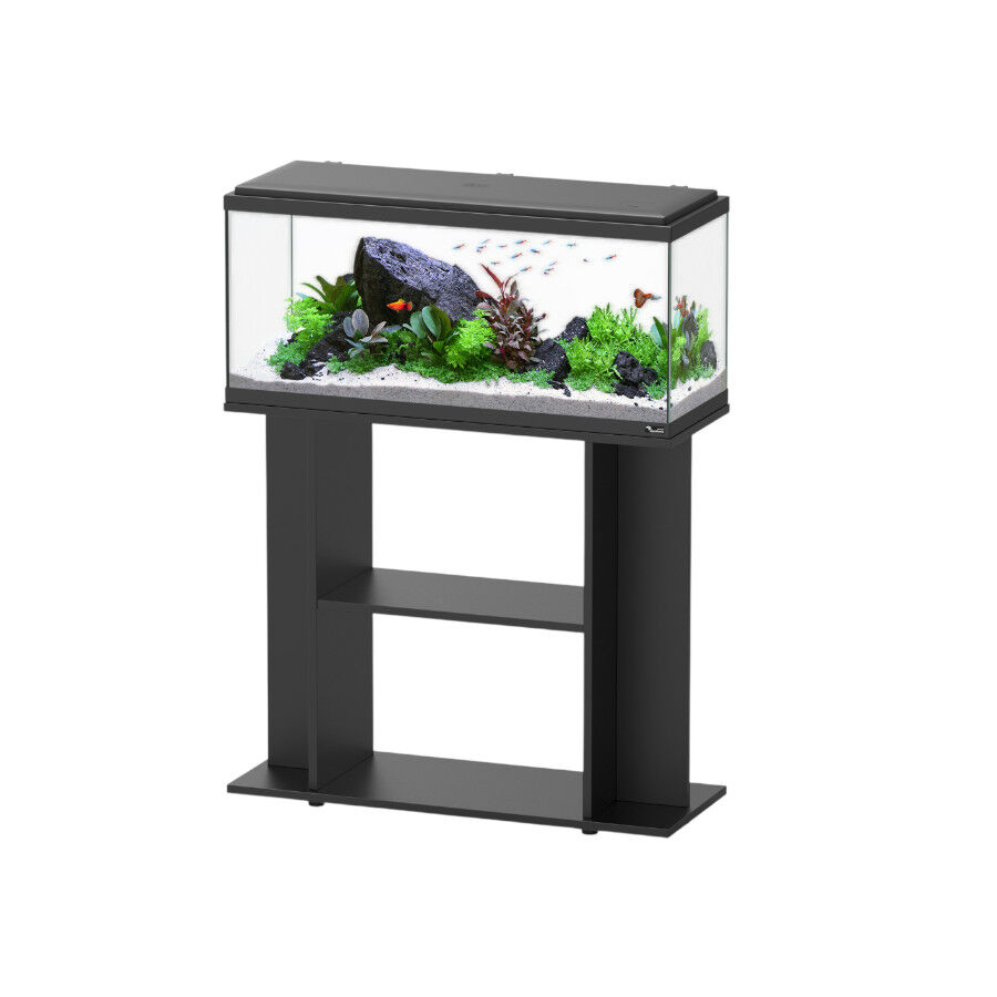 &nbsp;, , large Imagem n&uacute;mero 3