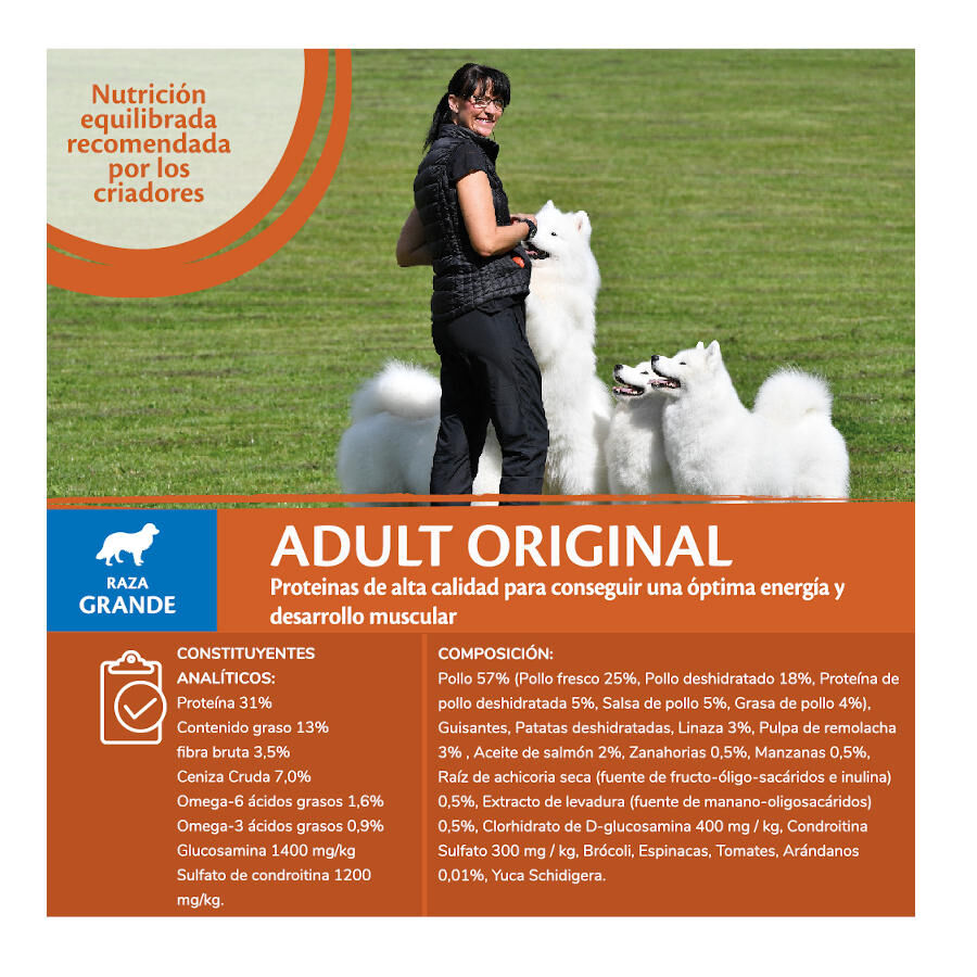 10 kg Wellness Core Adult Large Original Ra&ccedil;&atilde;o de frango para c&atilde;es, , large Imagem n&uacute;mero 5