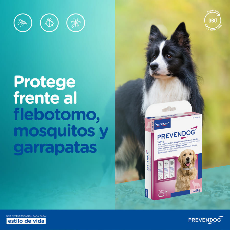 Virbac Prevendog Coleira Antiparasit&aacute;ria para c&atilde;es de porte m&eacute;dio, , large Imagem n&uacute;mero 7
