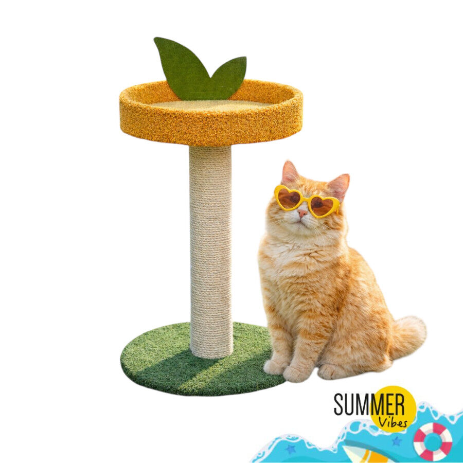 Summer Vibes Orange House Arranhador com Cama para gatos, , large Imagem n&uacute;mero 7