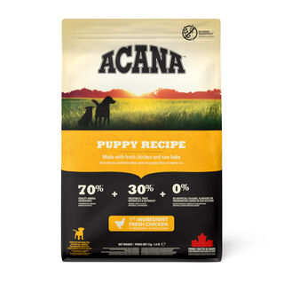 Acana Puppy Medium Frango Ração para cães