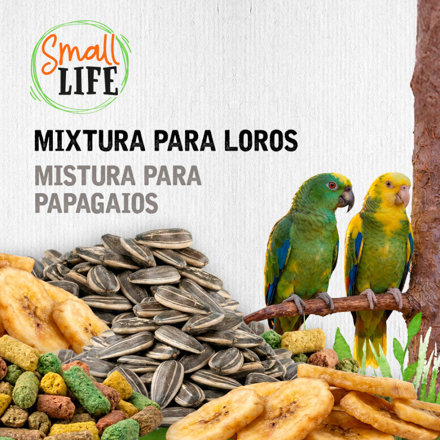 2.8 kg Small Life Mixtura Cubos para papagaios, , large Imagem n&uacute;mero 3