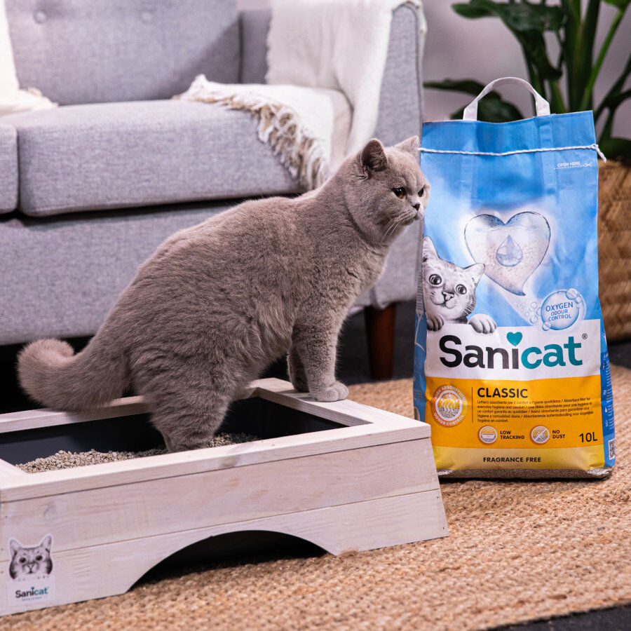 10 L Sanicat Classic Areia Absorvente, , large Imagem n&uacute;mero 4