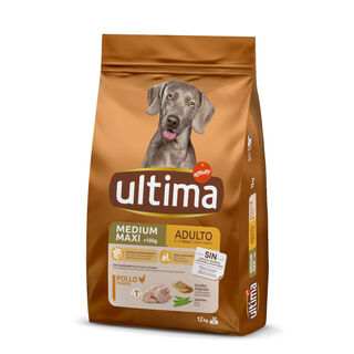 Affinity Ultima Adult  Medium/Maxi Frango ração para cães