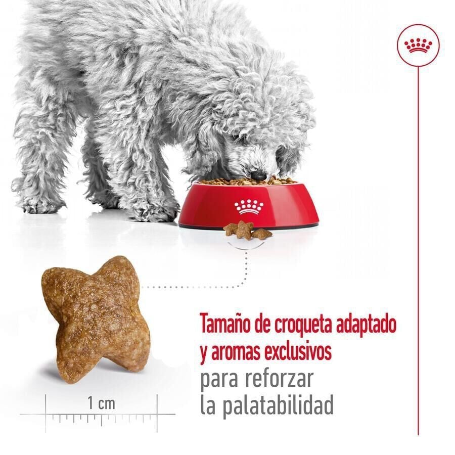 2 x 9 kg ( 8 + 1 kg &iexcl;gr&aacute;tis!) Royal Canin Mini Adult ra&ccedil;&atilde;o para c&atilde;es Pack poupan&ccedil;a!, , large Imagem n&uacute;mero 7