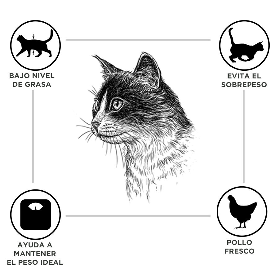 12 kg Criadores Adulto Esterilizado Frango ra&ccedil;&atilde;o para gatos, , large Imagem n&uacute;mero 2