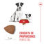Royal Canin Mini Starter MothereBaby ração para cães, , large Indicador imagem número 5