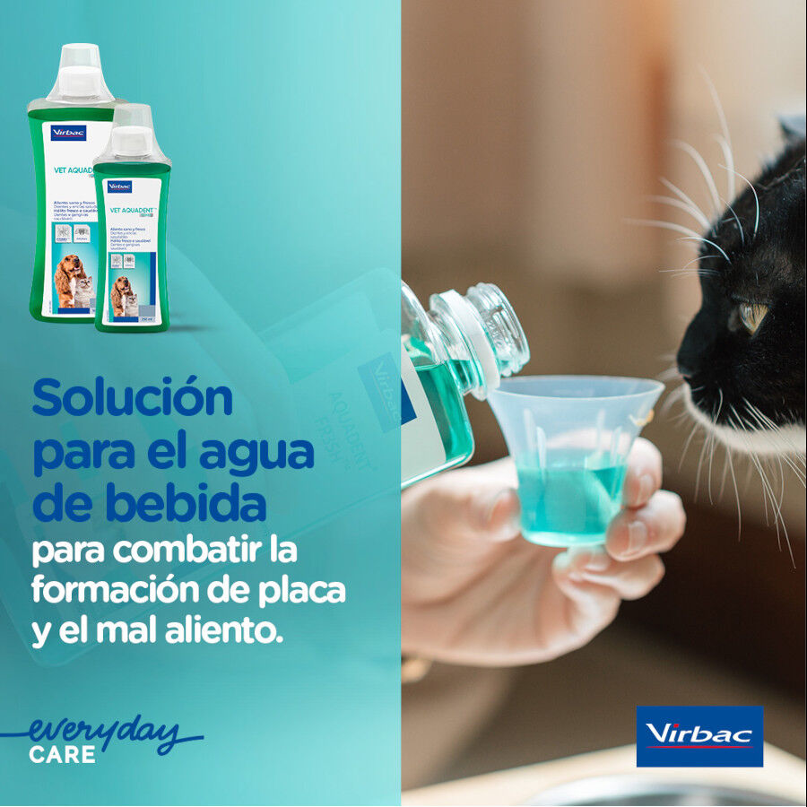 Virbac Vet Aquadent Elixir Bucal para c&atilde;es e gatos, , large Imagem n&uacute;mero 4