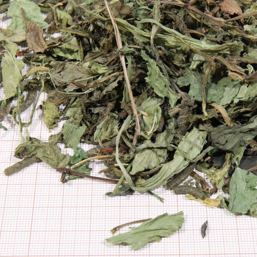 Alimento JBL Proterra Herbil para tartarugas, , large Imagem n&uacute;mero 2