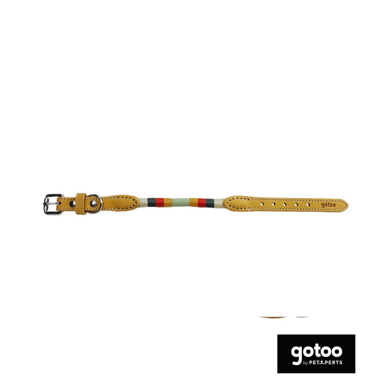 Gotoo Coleira em couro verde para cães,  Imagem número 2 Gotoo Coleira em couro verde para cães, , large Imagem número 2