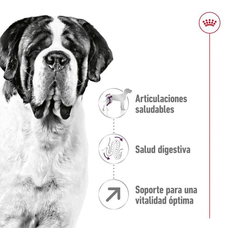 15 kg Royal Canin Adult Giant ra&ccedil;&atilde;o para c&atilde;es, , large Imagem n&uacute;mero 5